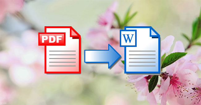 How to Convert PDF Files to Word Online Very Fast