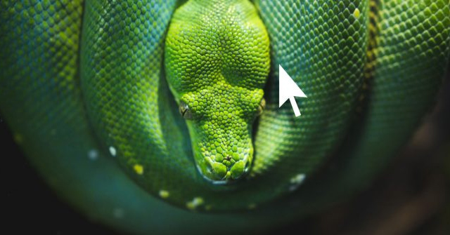 How to Create a Command Line Program in Python with Click