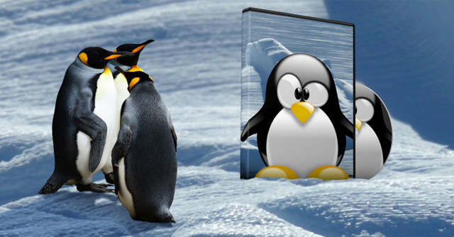 Create Live Cd Linux Disk: How to Create a Live CD Linux Disc