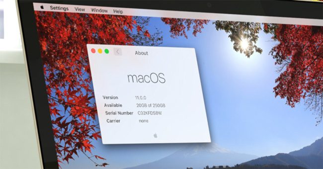 How to Delete Browsing Traces on Mac