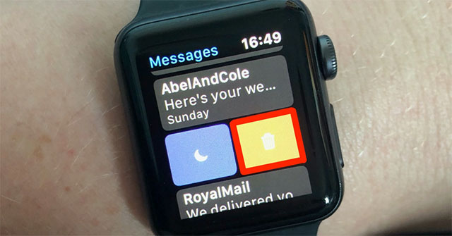 how-to-delete-messages-on-apple-watch