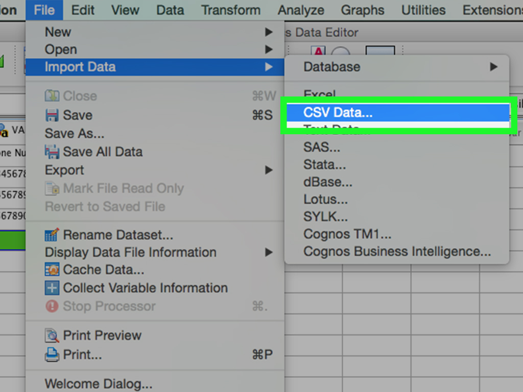 how-to-enter-data-in-spss-tipsmake