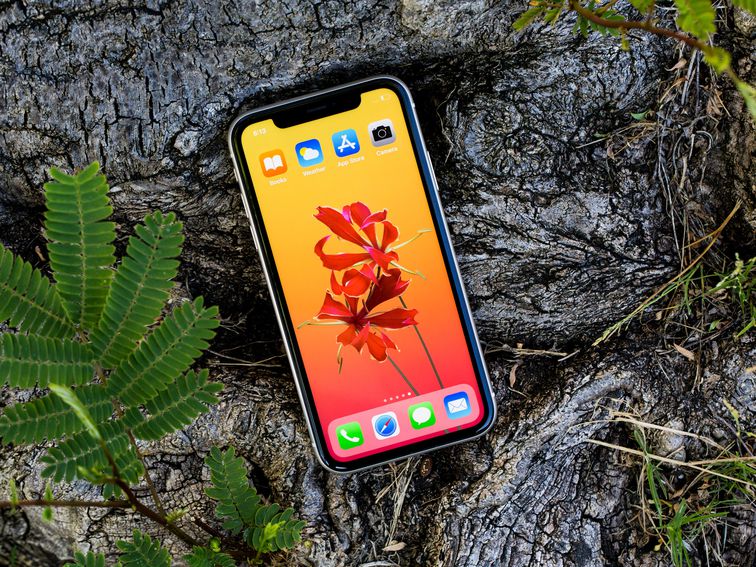 How to Extend the Life of Your Phone So You Don't Have to Replace It So