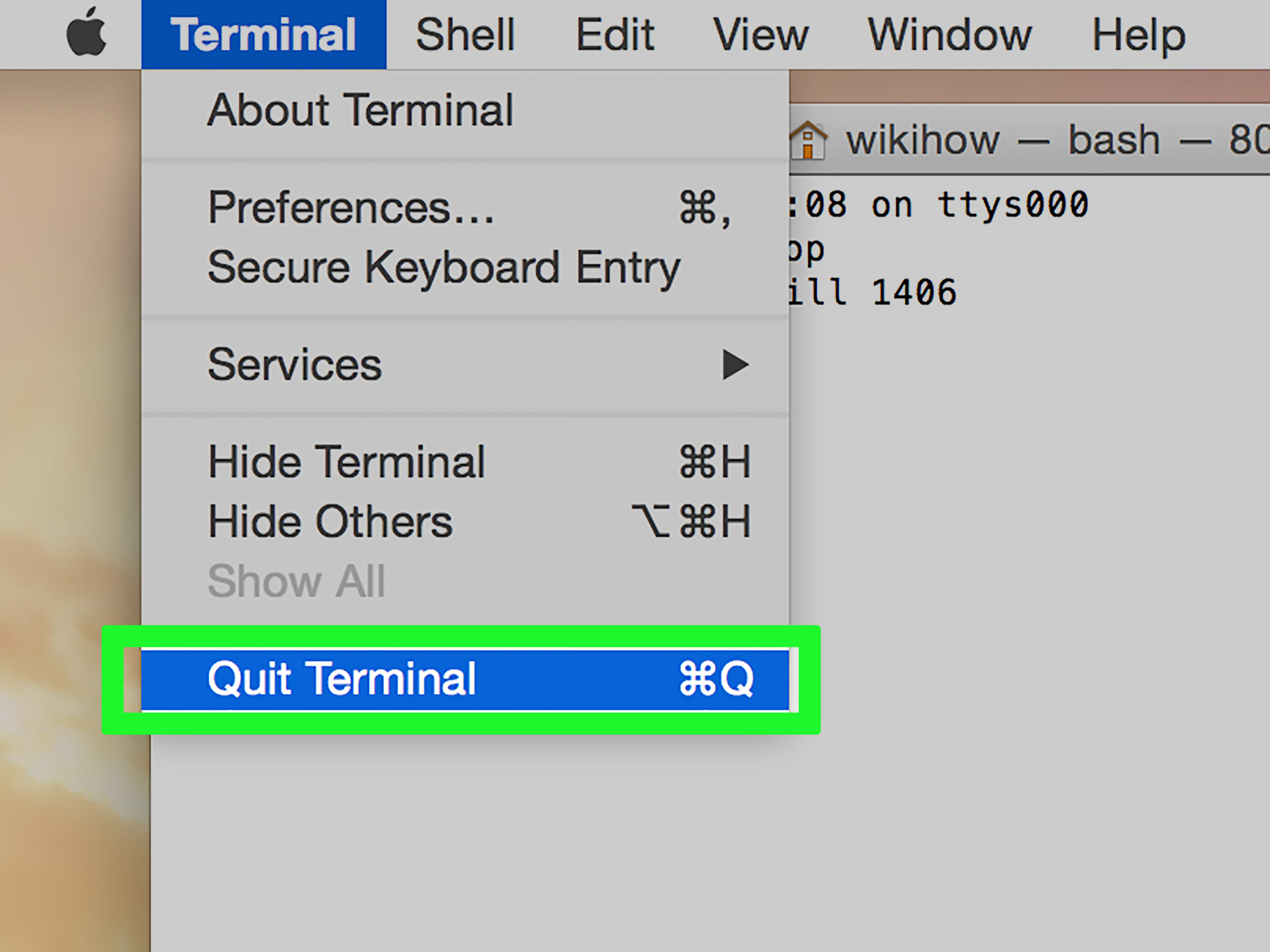 How to Force Quit an Application on a Mac