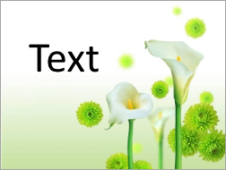 How to Insert Text into Photos