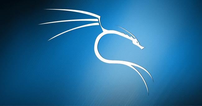How to Install and Use Kali Linux on Vmware Virtual Machine