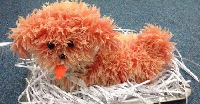 How to Make Cotton Dogs with Grapefruit Decorated Tray of Fruits