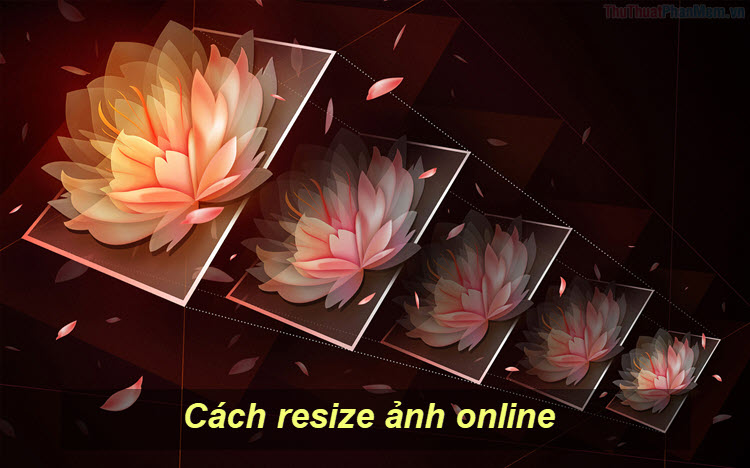 How to Resize Images Online: Step-by-Step Guide