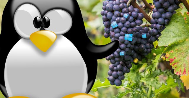 How to Run Windows Applications on Linux with Vineyard