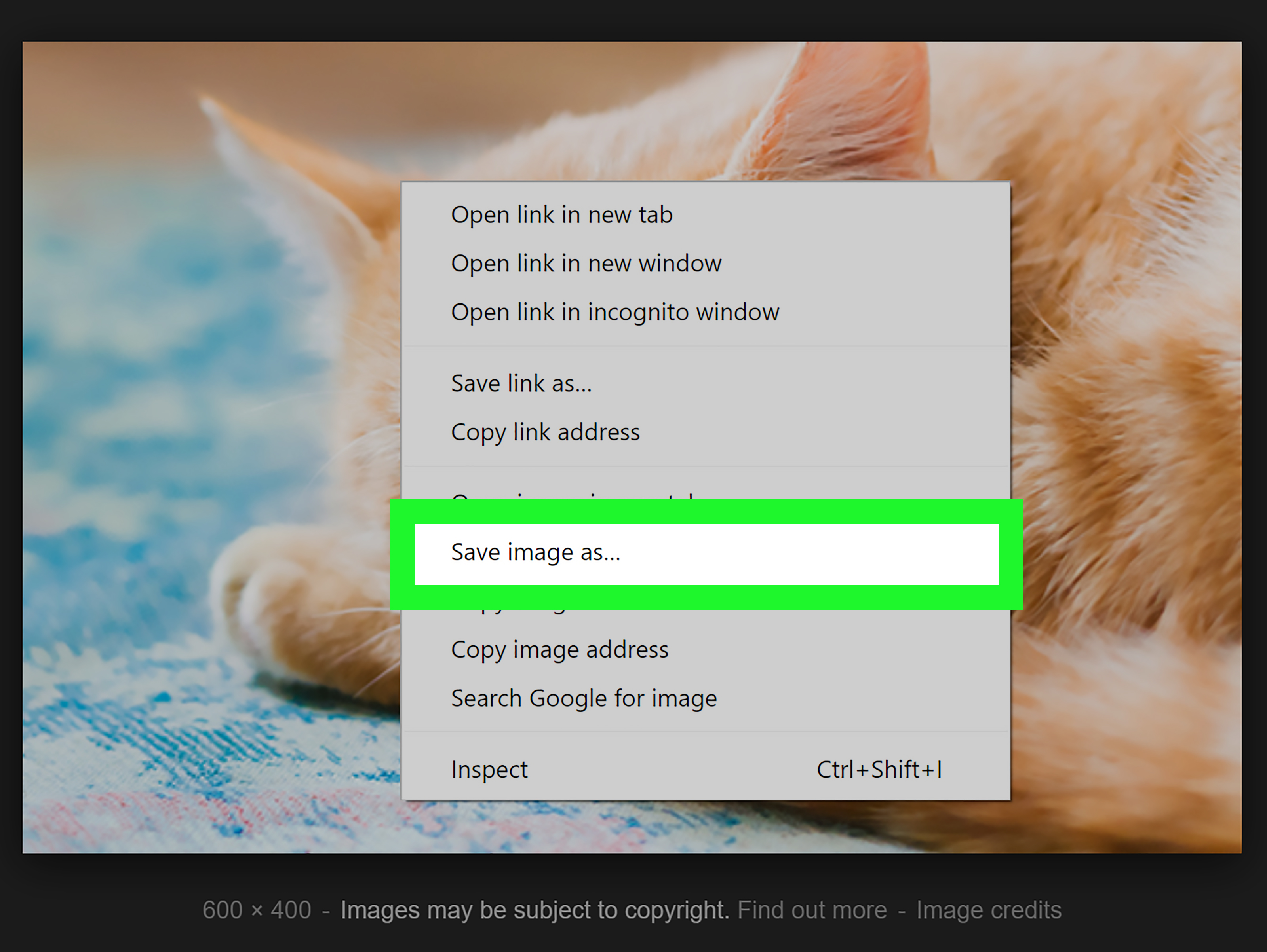 How to Search by Image: Step-by-Step Guide