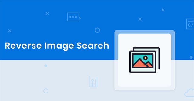 Reverse Picture Search: How to Search for Images Similar to Bing