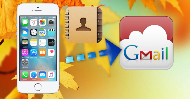 How to Transfer, Backup Phone Contacts from iPhone to Gmail