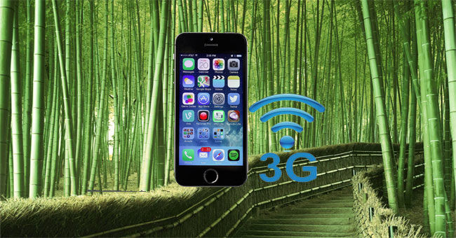 How to Turn on 3G on iPhone 5 / 5S / 6?