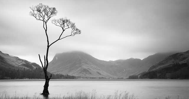 How to Turn the Photo Into a More Artistic Minimalist Style