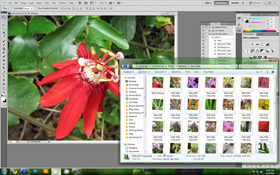 How to Use Photoshop CS5 - Part 17: Batch Image Processing with
