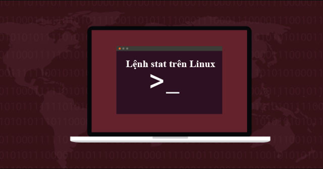 How to Use the Stat Command on Linux