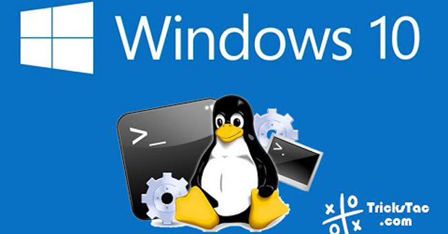 How to Use Zsh (or Other Shells) on Windows 10?