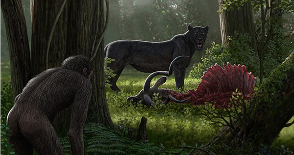 Human Ancestors Caused the Extinction of Animals 4 Million Years