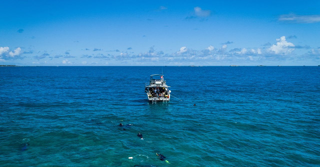 IBM AI Robots Are Deployed to Clean the Oceans on Earth