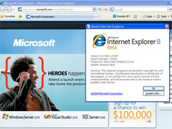 IE8 Browser for Professionals?