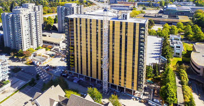 In the Future, Wood Is the Only Material to Build Skyscrapers, Not