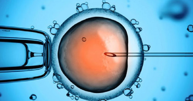 In Vitro Fertilization Has a High Risk of Congenital Heart Disease