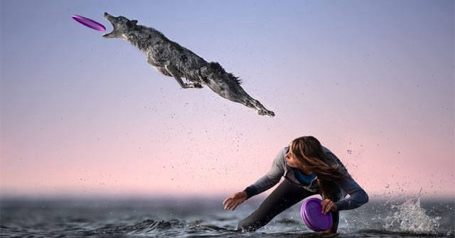 Incredible Photos of the Magic of Motion