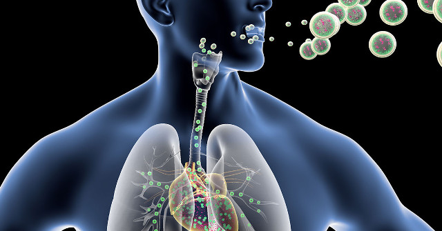 Inhaling a Nanoparticle Can Prevent Heart Damage