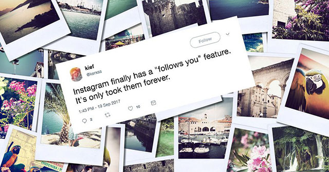 Instagram Displayed Follows You to Know Who Followed You