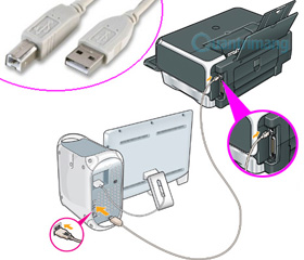How to Install the Printer in a Mixed Windows Environment