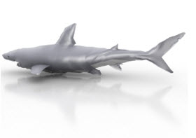 Instructions for Creating Animation-Based Shark Models: Graphics