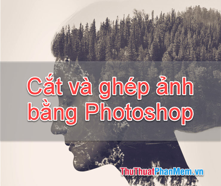 Instructions for Cutting and Stitching Photos in Photoshop