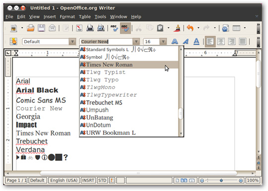 Instructions for Installing Windows Fonts on Ubuntu