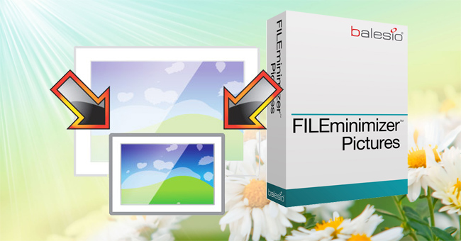 Instructions for Reducing Image Size with Fileminimizer Pictures