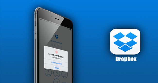 Instructions for Saving Offline Files with Dropbox on iOS