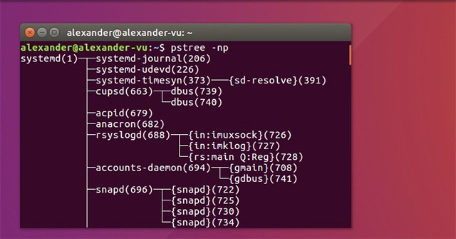 Instructions for Using Pstree Command on Linux