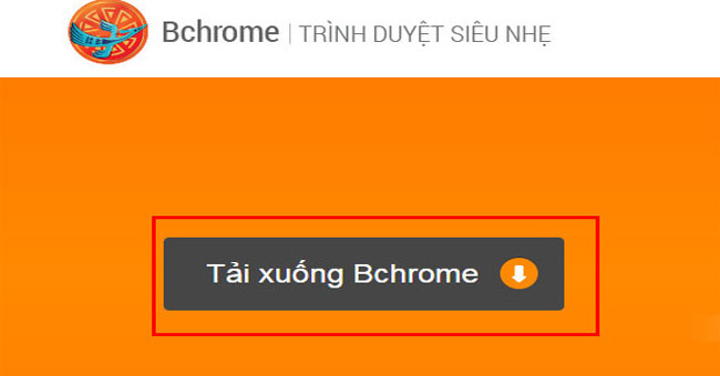 Instructions for Viewing Saved Passwords on Bchrome
