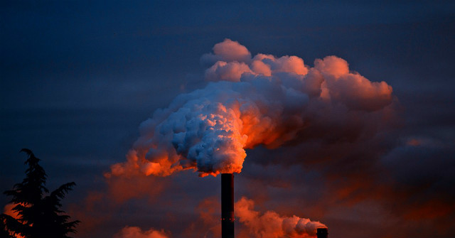 Japanese Domestic Air Purifier and Things to Know Before Making a
