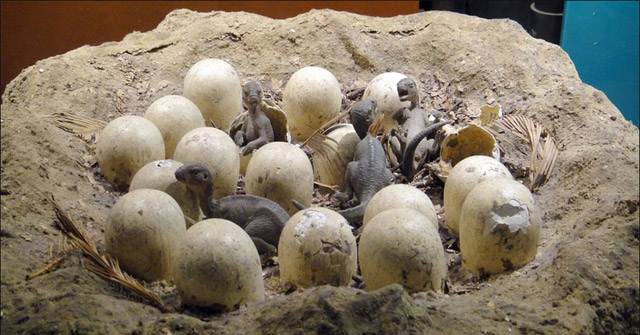 Jurassic Dinosaur Eggs from Jurassic Era Were Discovered in China