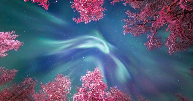 Label with the Best Astronomical Images in 2017