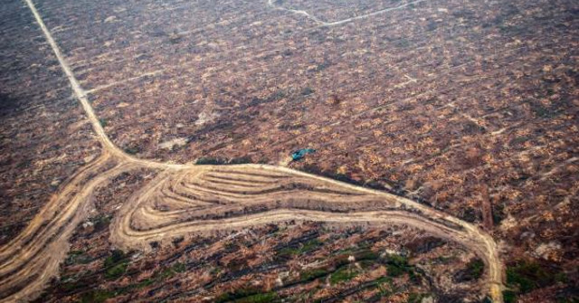 Land Degradation Threatens Millions of People in the Future