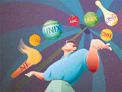 Laptops Run Many Operating Systems