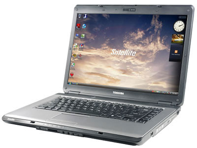 Laptops Sold in January September