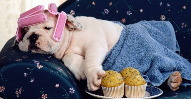Lazy People Are Not Always Useless