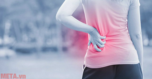 Learn About Lumbar and Spinal Belt: Savior of Disc Herniated Disease