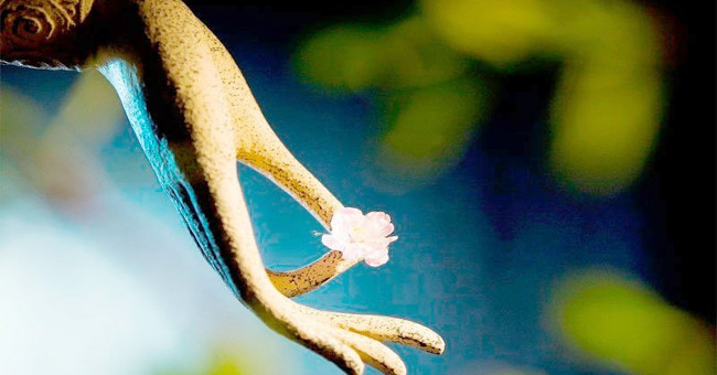 Learning to Accept Is a Big Step for You to Grow Up