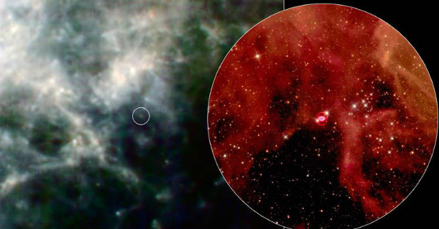 Life on Earth May Have Come from Biological Particles in Cosmic Dust