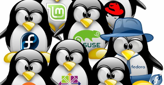 Linux Distro for New, Easy to Use, Beautiful