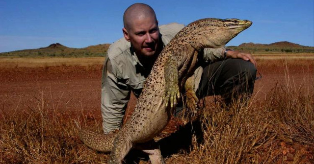 Lizard Venom Can Bring Breakthroughs in Coagulation Treatment