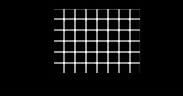 Looking at These Photos, You Will No Longer Believe Your Eyes!